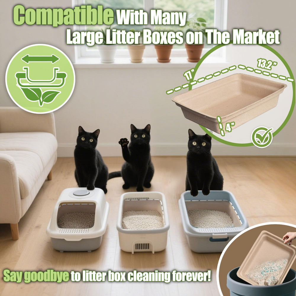 SEMEDOYO Litter Box Large 17.5 by 13.5 inches for adult cats.