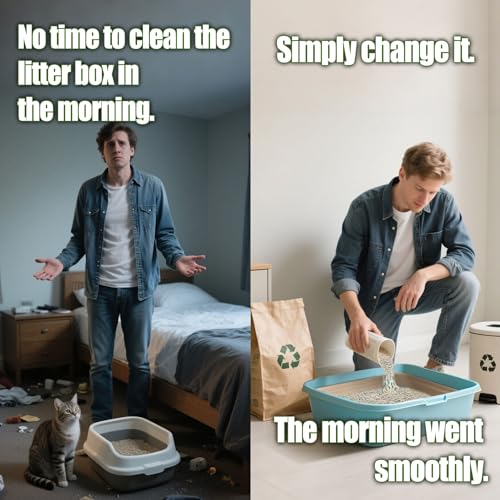 SEMEDOYO no-assembly design enables quick setup.