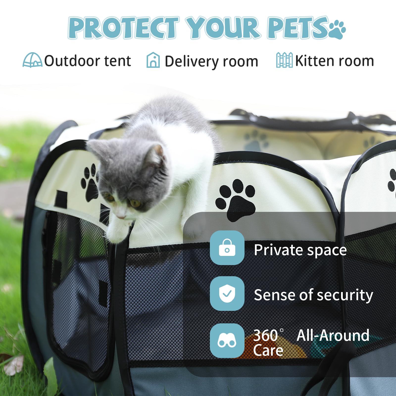 Interior layout supports pads, litter box, and toys for kittens.