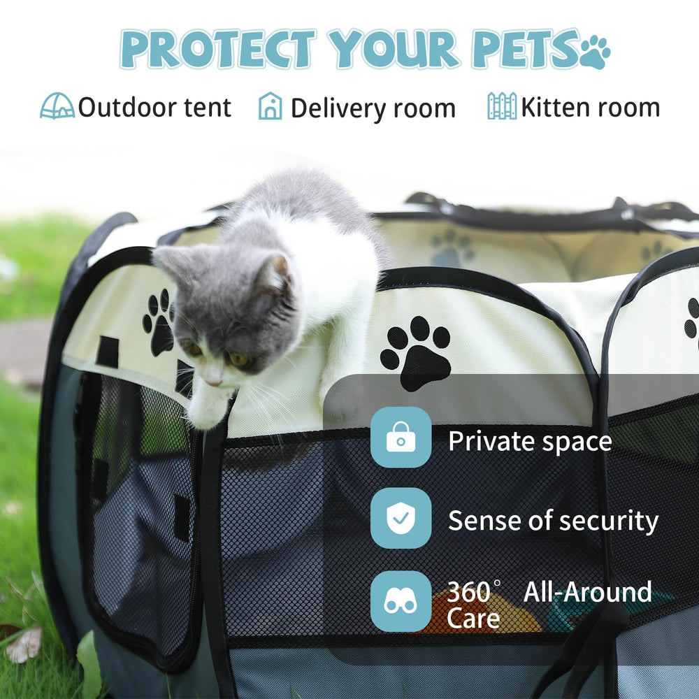 Interior layout supports pads, litter box, and toys for kittens.