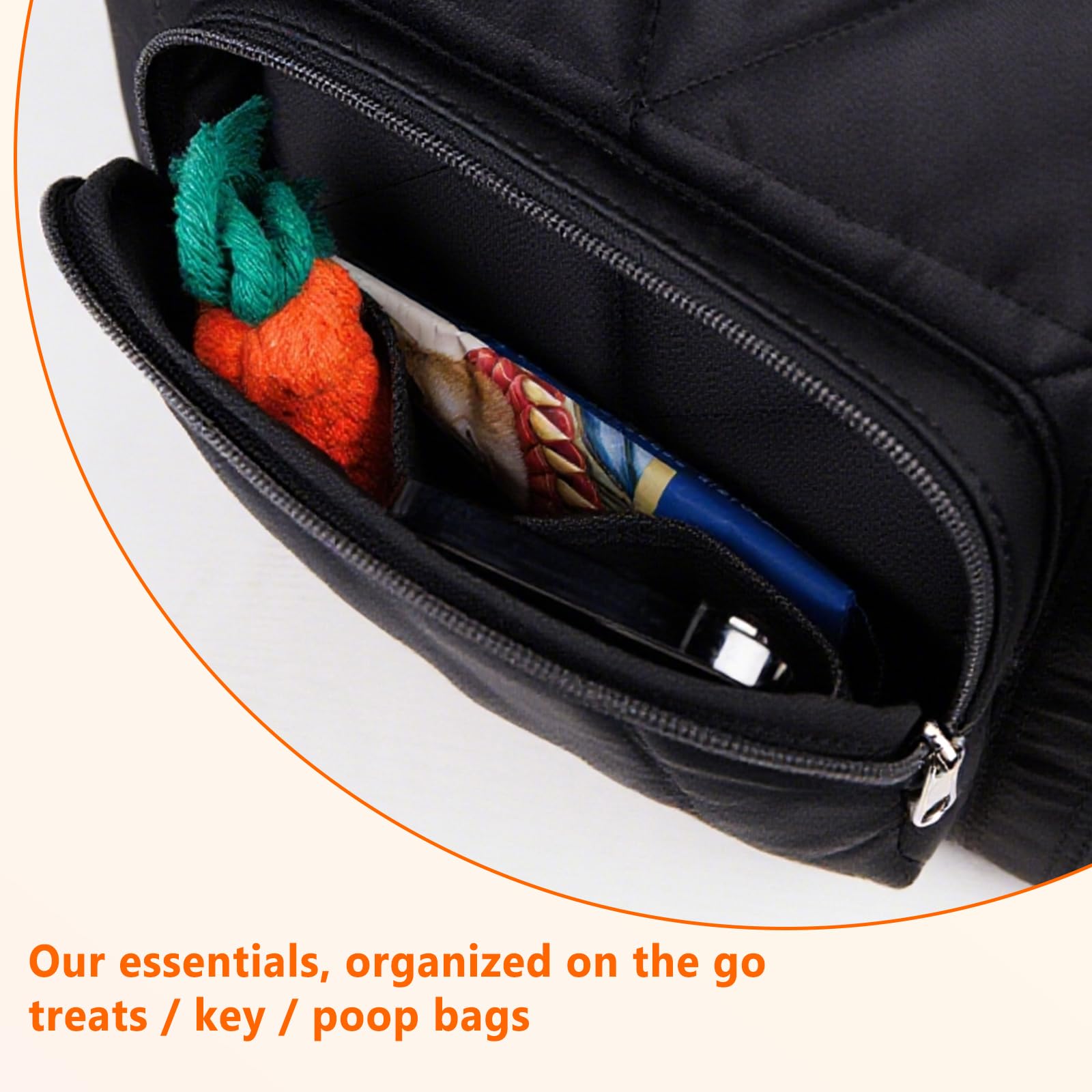SENIOR BUDDAY dog carrier tote interior showing spacious main compartment for small pets