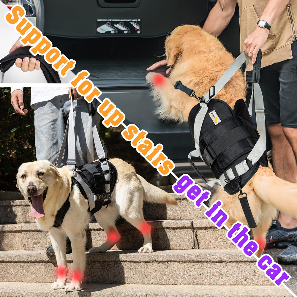 SENIOR BUDDAY dog lift harness anti-slip neck strap prevents escapes during use.