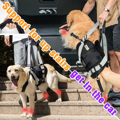 SENIOR BUDDAY dog lift harness anti-slip neck strap prevents escapes during use.