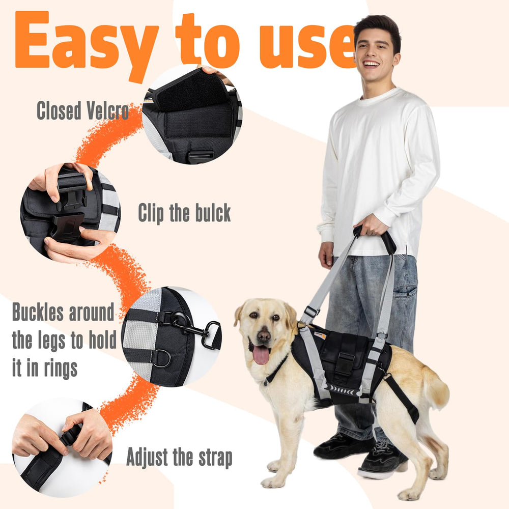 SENIOR BUDDAY quick-buckle lets secure your dog with one hand.
