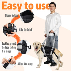 SENIOR BUDDAY quick-buckle lets secure your dog with one hand.