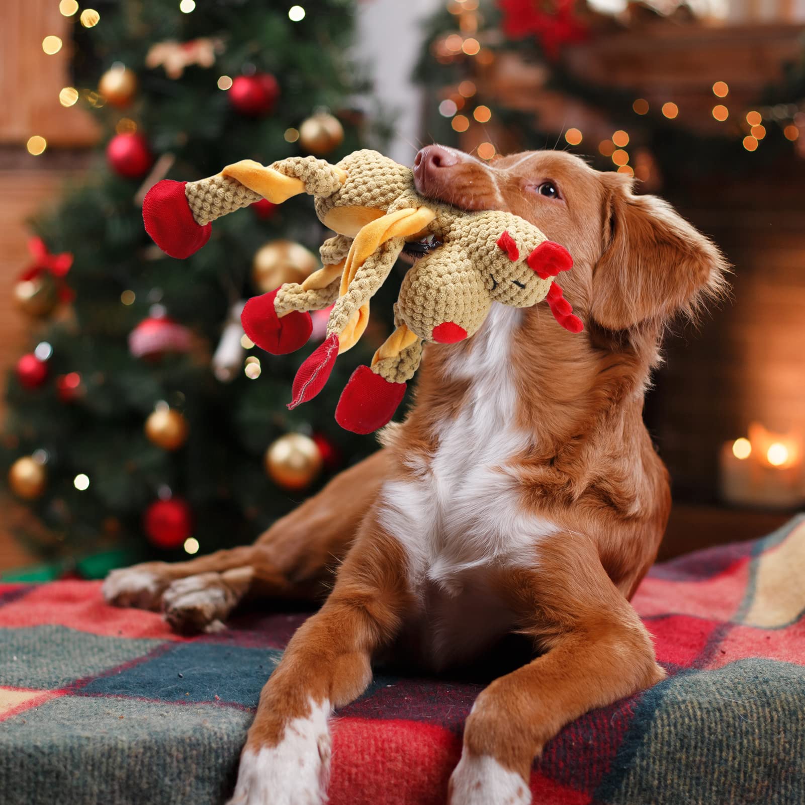 Senneny dog toy features five squeakers to engage curious dogs.