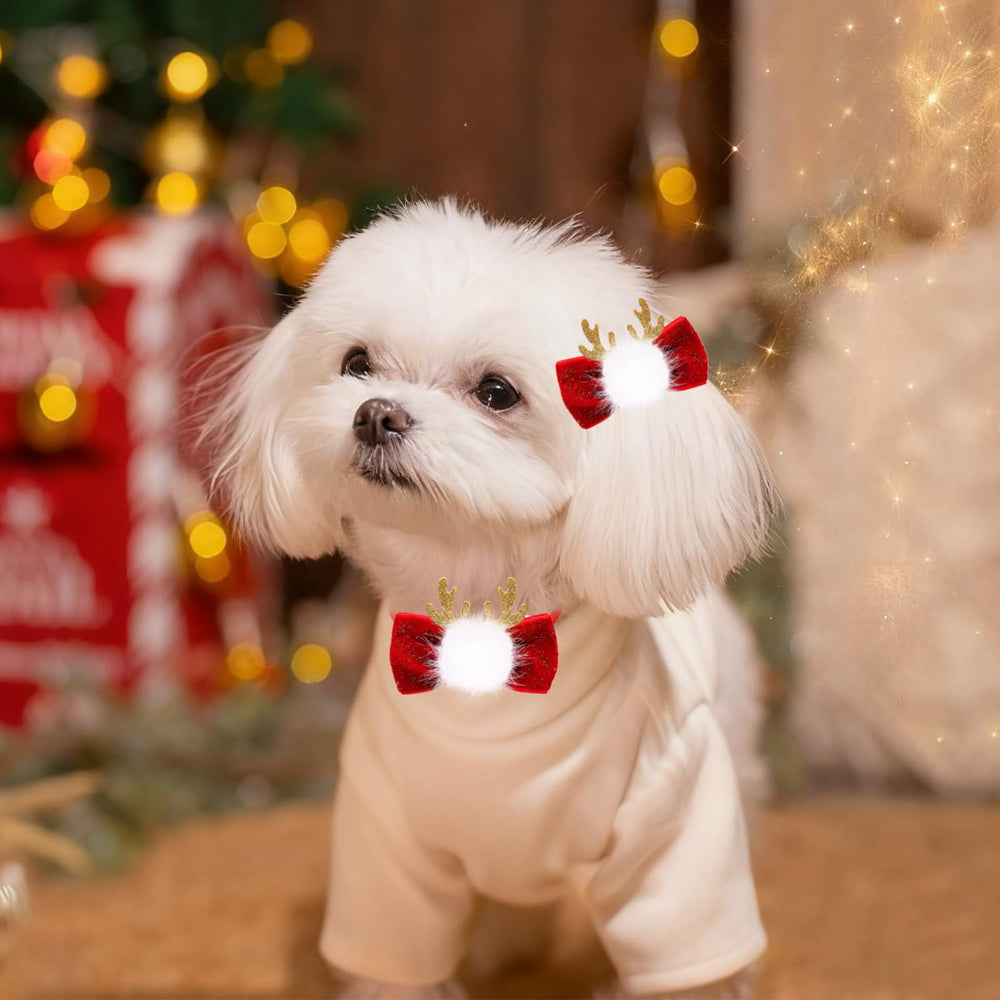 Senniea high-quality durable materials withstand active pets