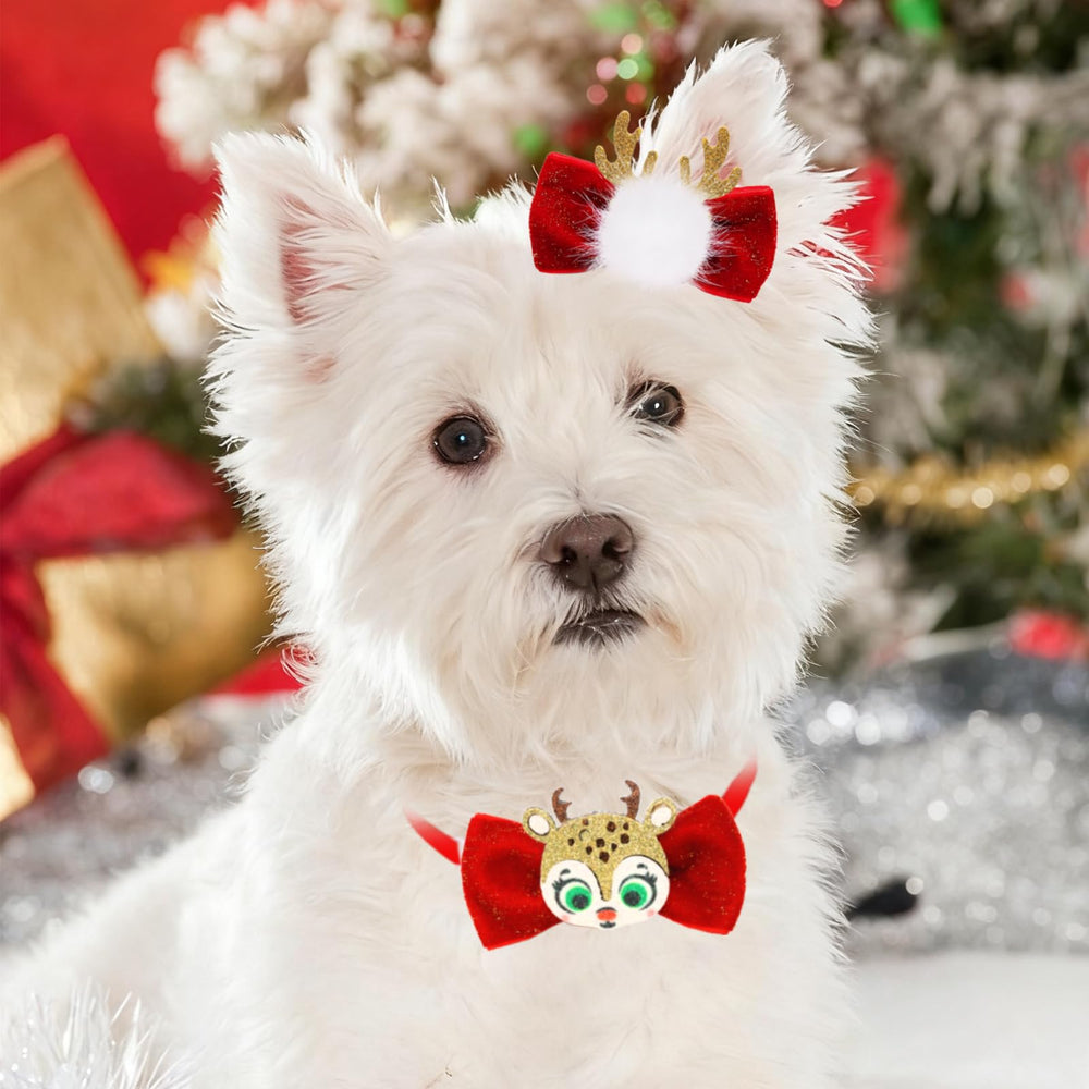 Senniea 12-piece festive set keeps options for multiple pets