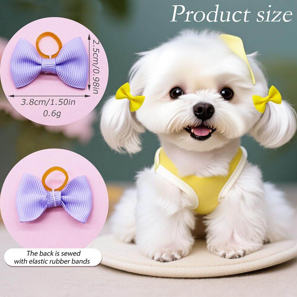 Senniea dog bows color variety closeup highlights 60 colors for styling.