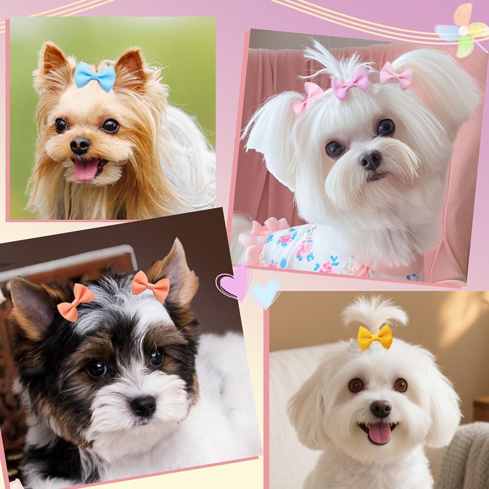 Senniea daily-wear bows designed for comfort and style during outings.