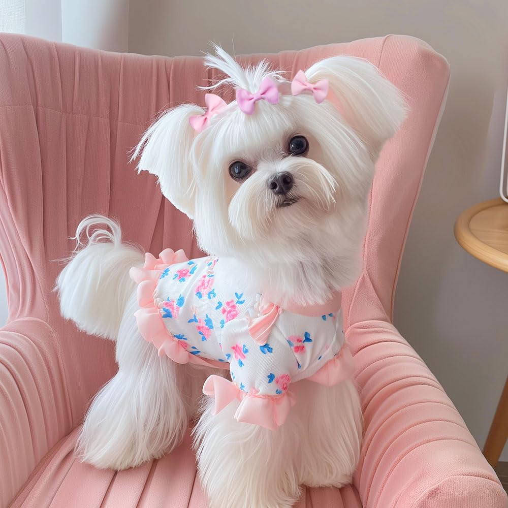 Senniea dog bow on a paw or neck portrait suitable for photo sessions.