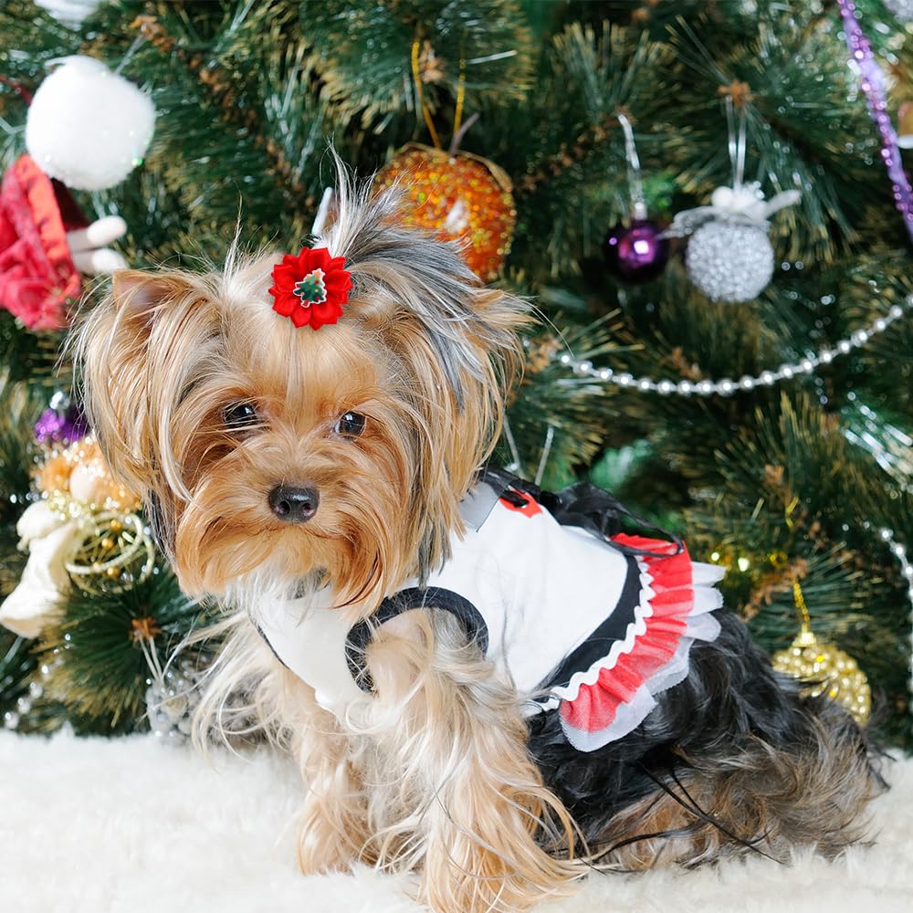 Senniea small-size dog bows fit comfortably on tiny breeds.