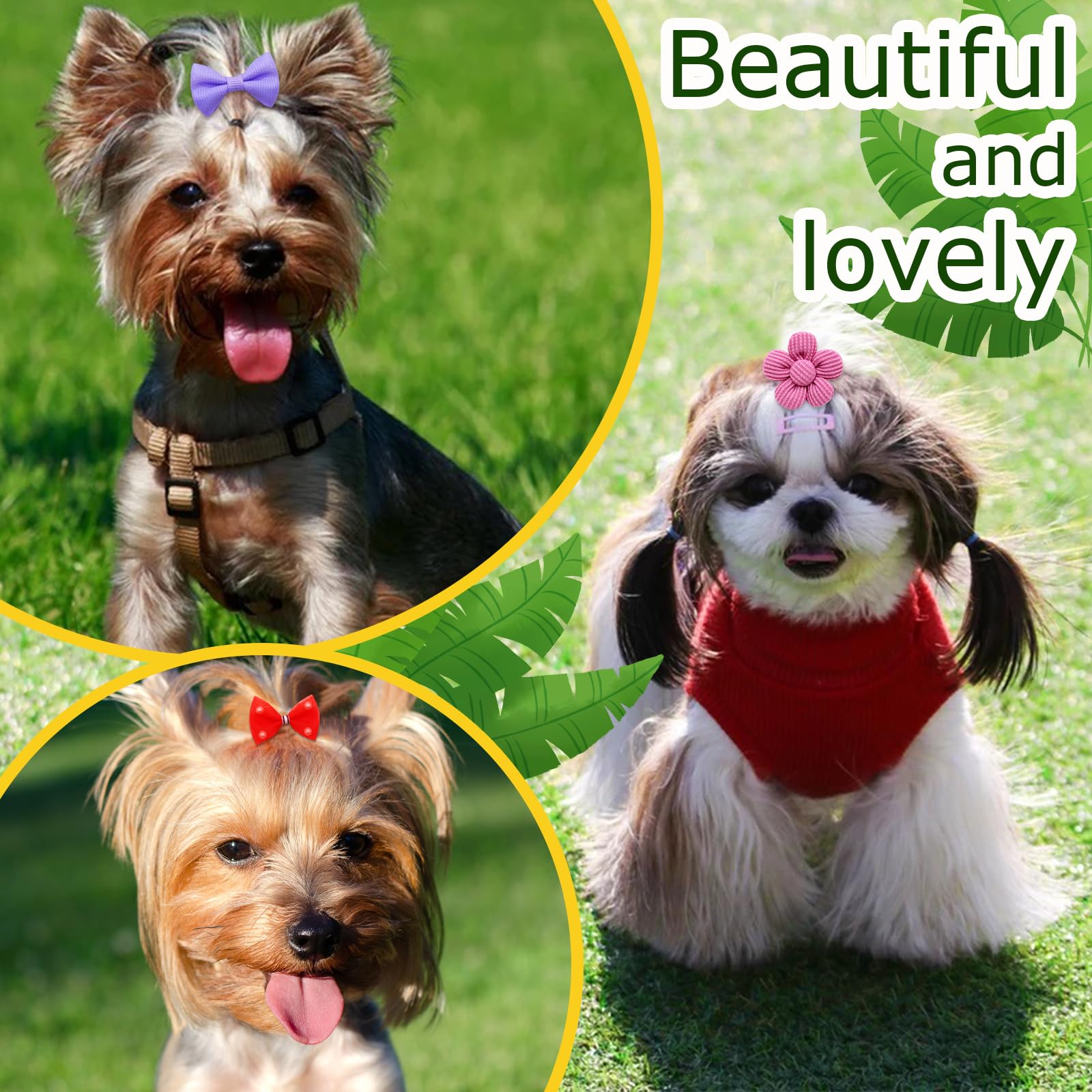 Senniea dog bows daily adorable style for everyday cute outfits.