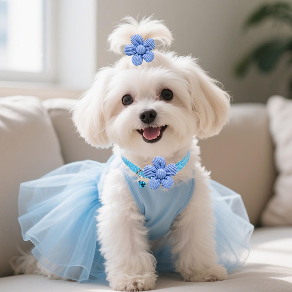 Senniea black flower bow for sleek pet looks.