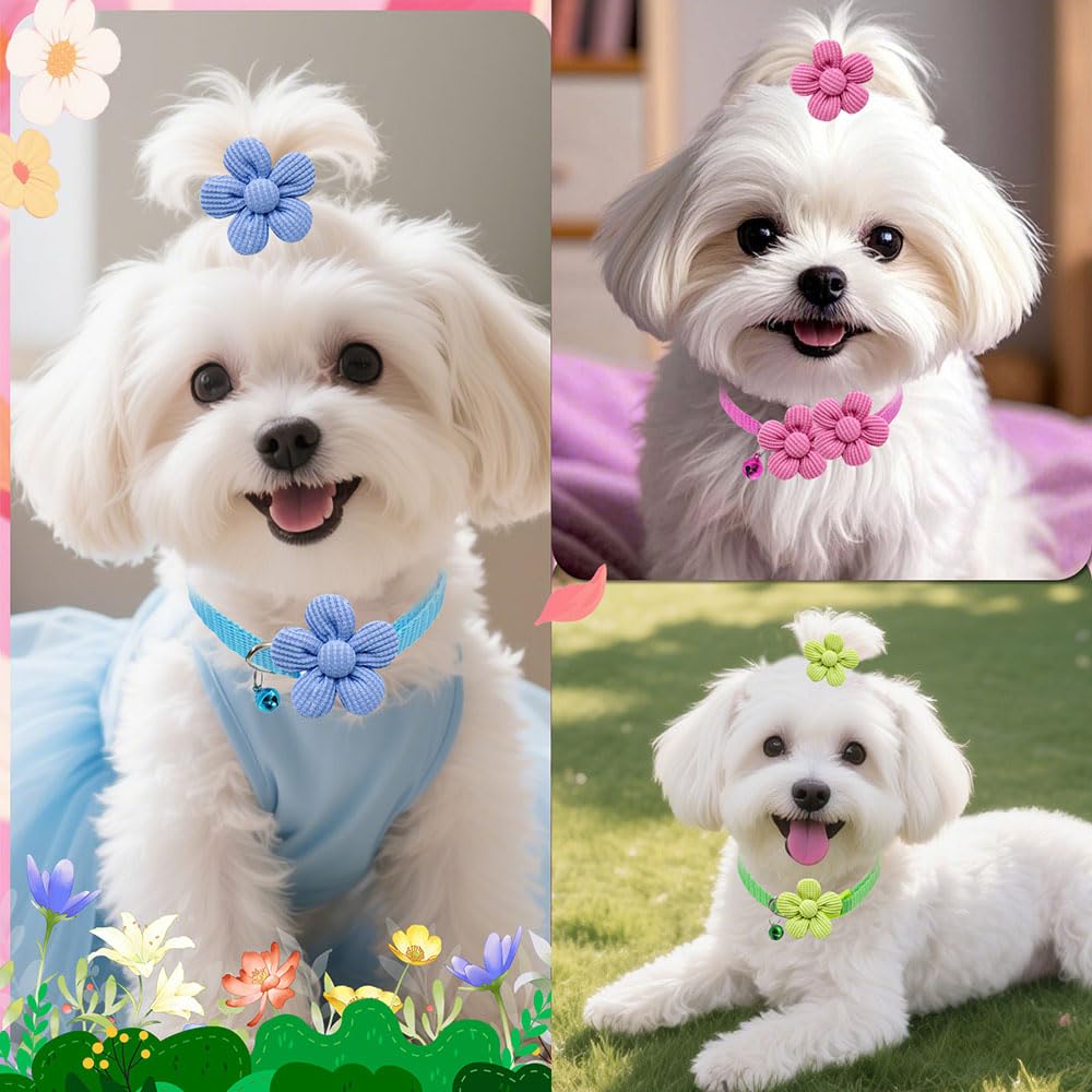 Senniea complete 36-piece pet accessory set for dogs, cats, rabbits.