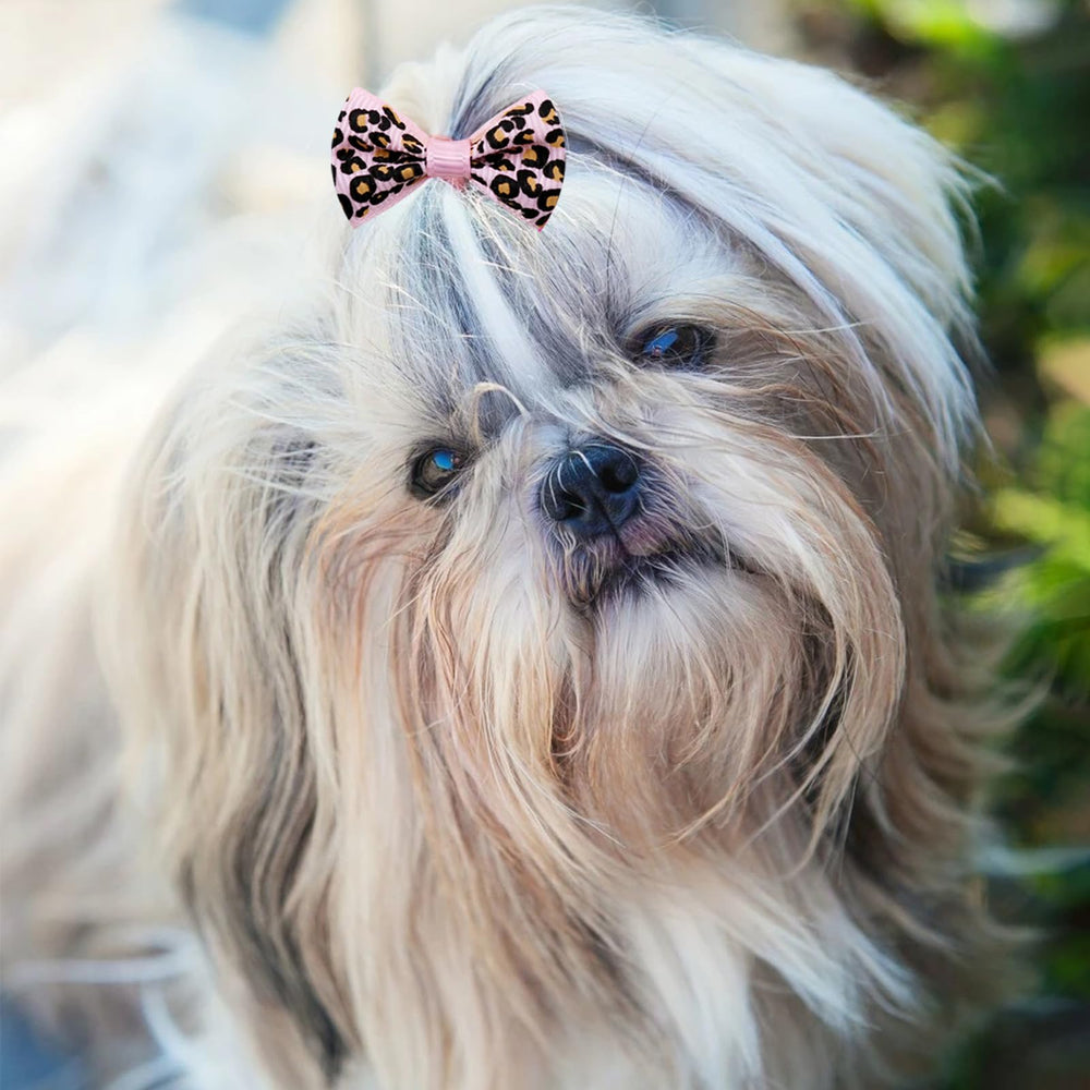 Senniea DIY dog bow tie option for personalized style