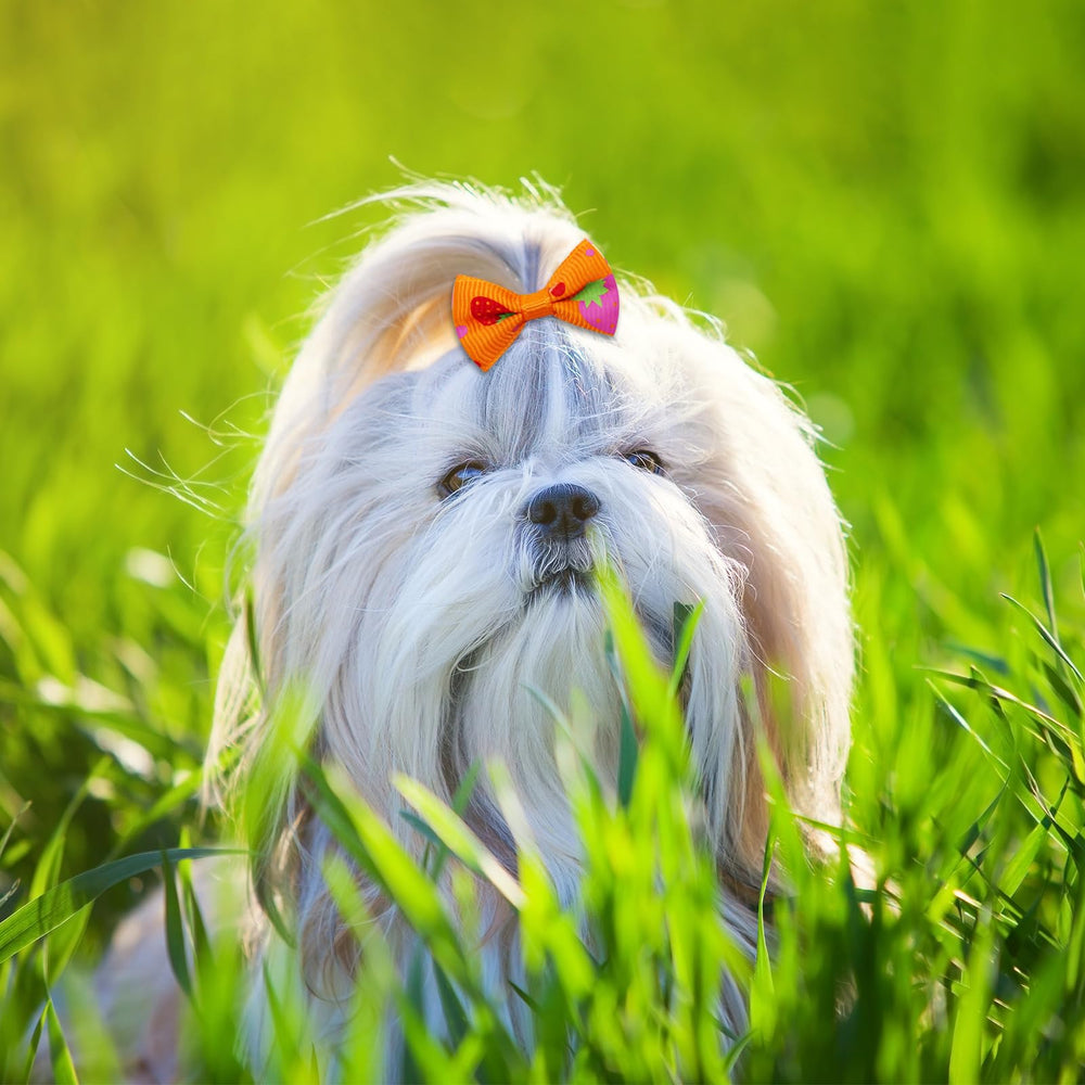 Senniea puppy bows ideal for daily wear and holiday parties