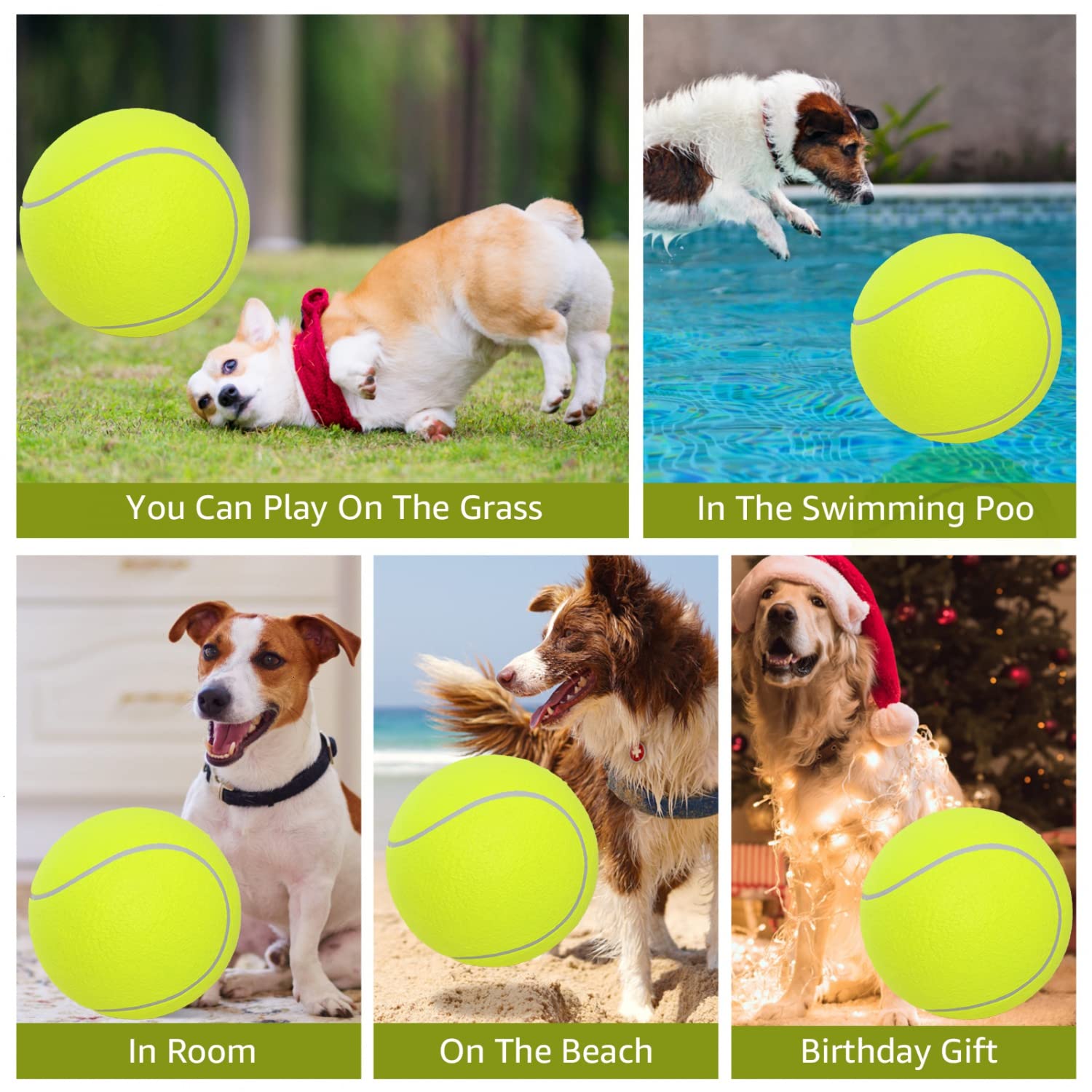 SenseYo Pomeat bright colors attract dogs during outdoor activity