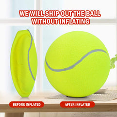 SenseYo Pomeat bright green tennis ball for dogs improves outdoor visibility.
