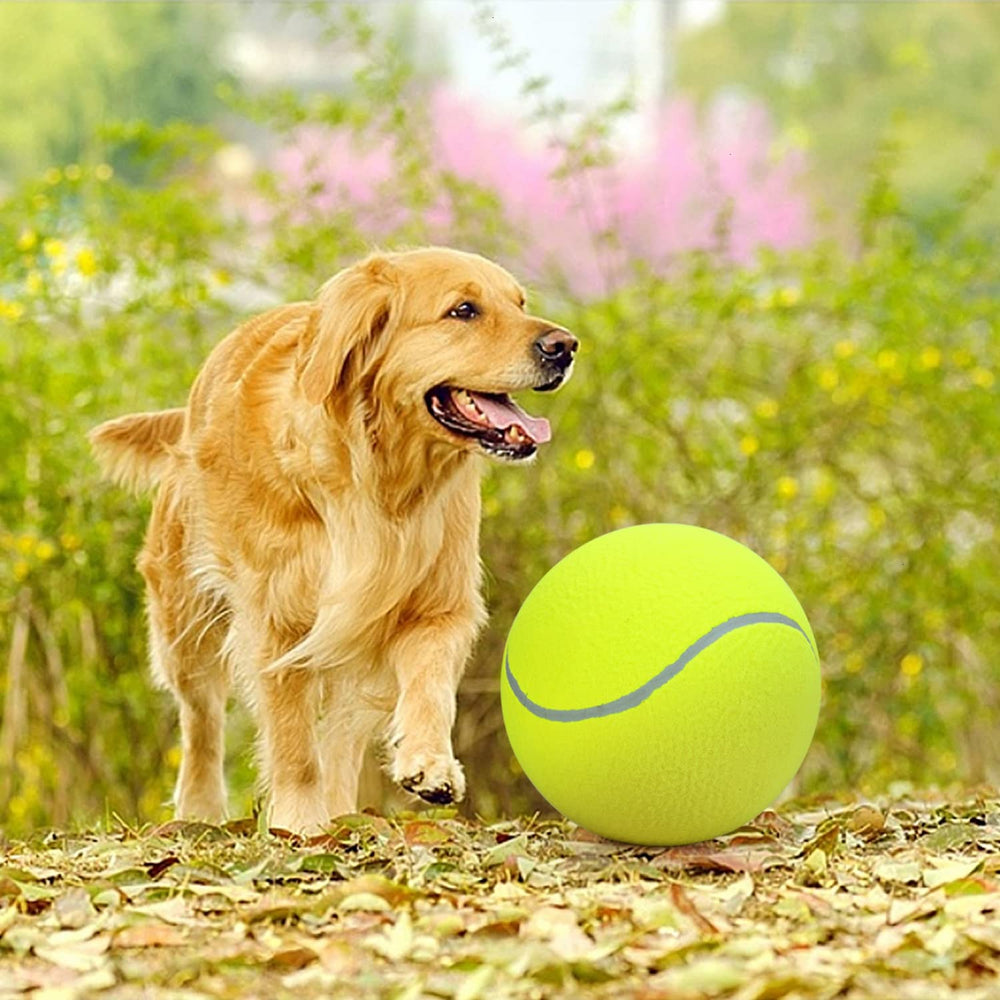 SenseYo Pomeat outdoor play area with giant tennis ball in action