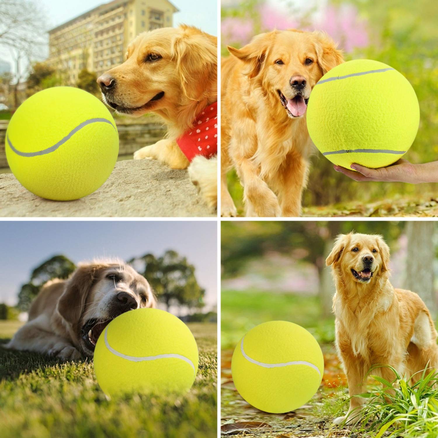 SenseYo Pomeat gift-ready tennis ball toy for dogs, coaches, and families.