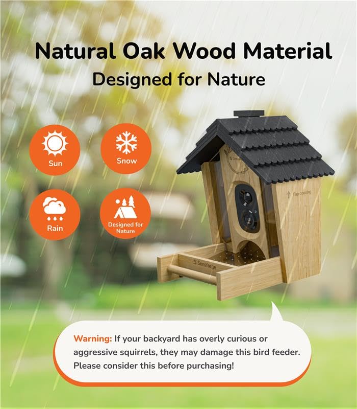 Sensforge bird feeder camera 2.5K live view reveals crisp detail during visits.