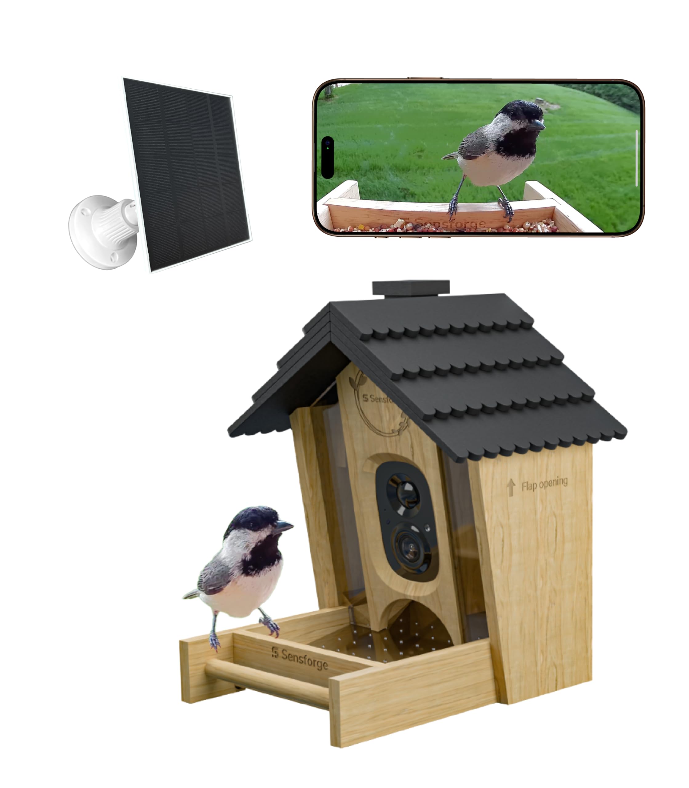Sensforge package contents illustrate a ready-to-use gift for nature lovers.