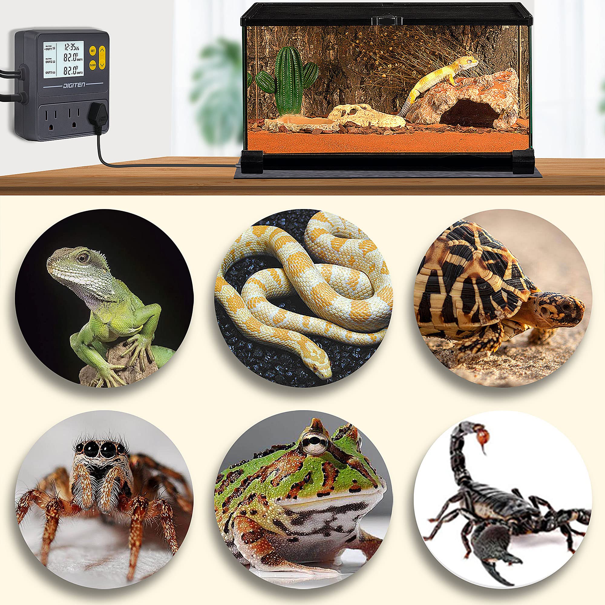 SENSTREE reptile thermostat used in ball python tank with two-zone control.