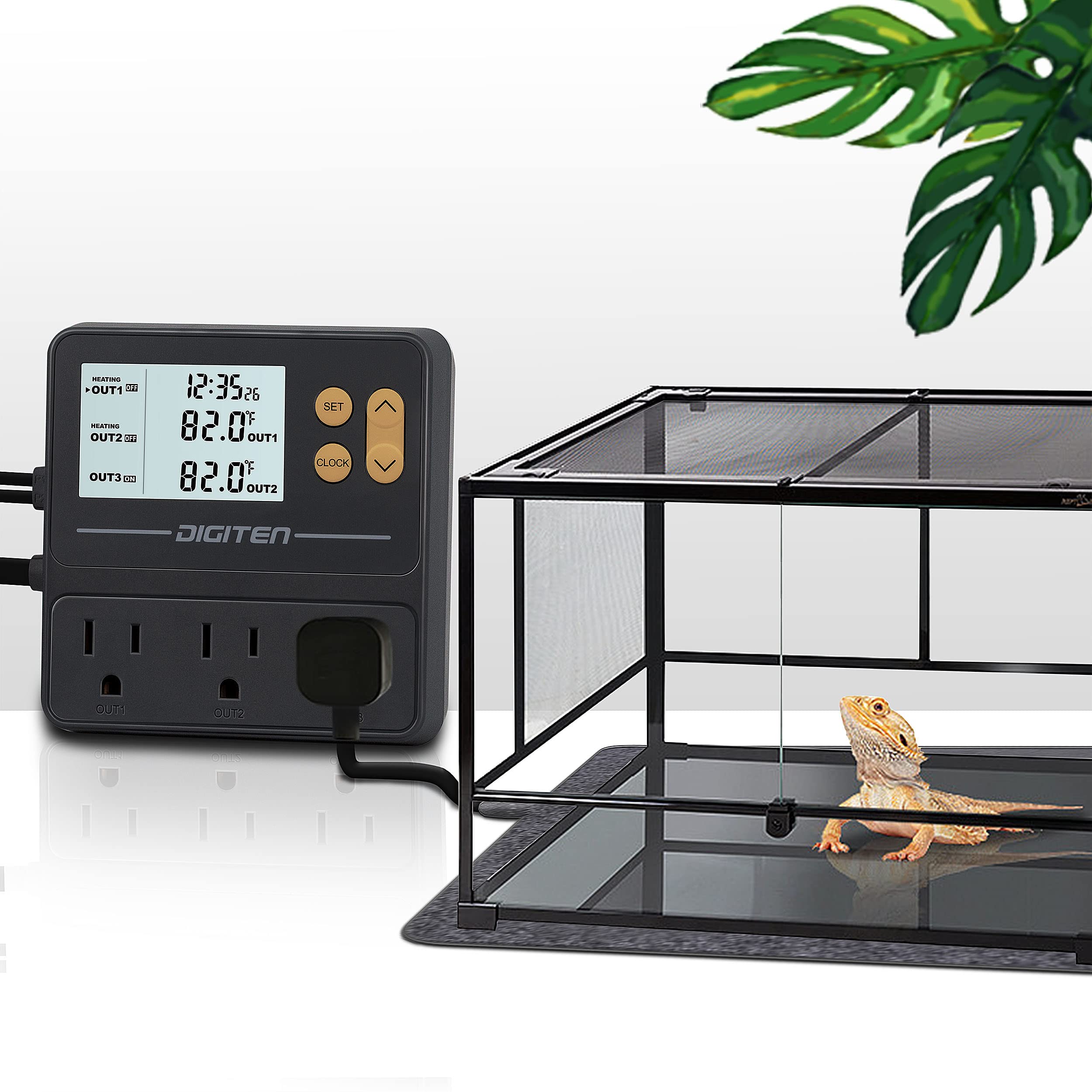 SENSTREE reptile thermostat mounted in bearded dragon tank for precise temps.