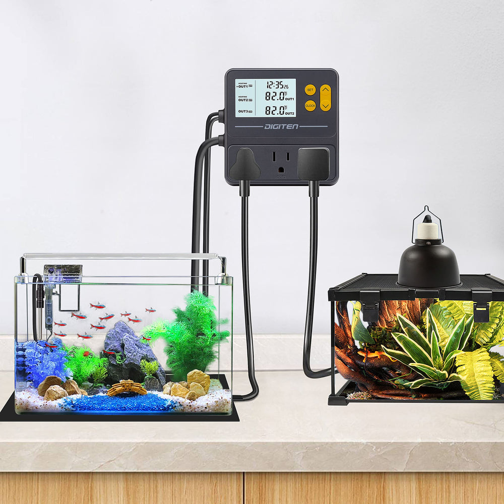 SENSTREE reptile thermostat incubator-use illustration guiding egg incubation.