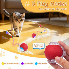 Sentoo interactive cat ball toy battery-life view emphasizes long play sessions