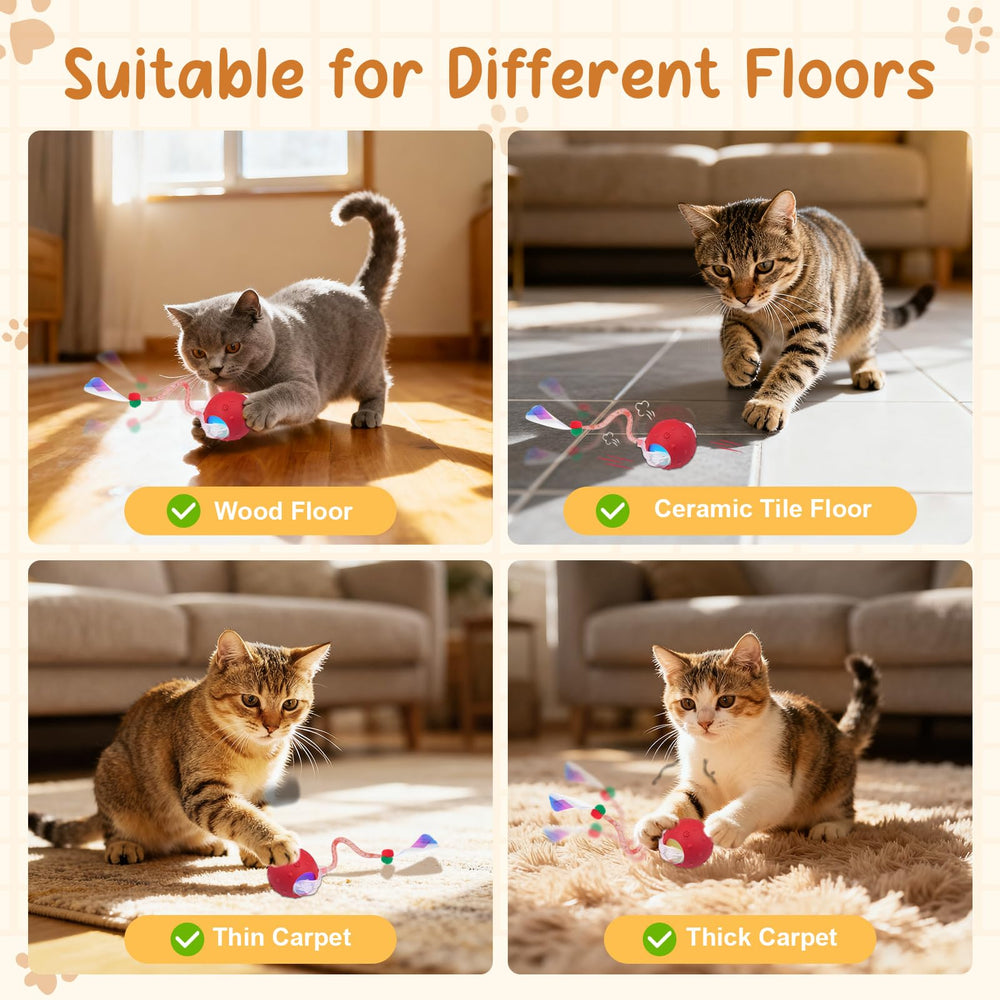 Sentoo interactive cat ball toy floor-play scene demonstrates versatility on multiple surfaces