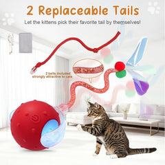 Sentoo interactive cat ball toy tails attachment highlights two tail options for hunting styles