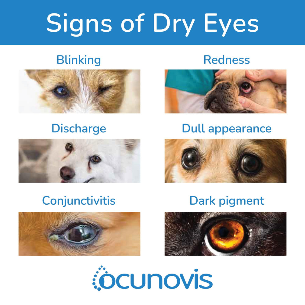 Sentrx Ocunovis long-lasting lubrication graphic concept