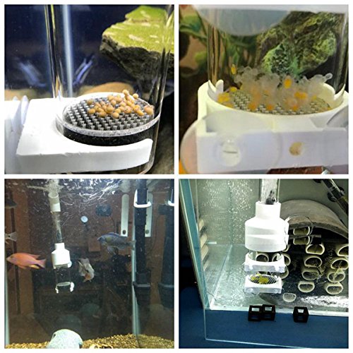 Senzeal biochemical cotton protects eggs from tank impurities