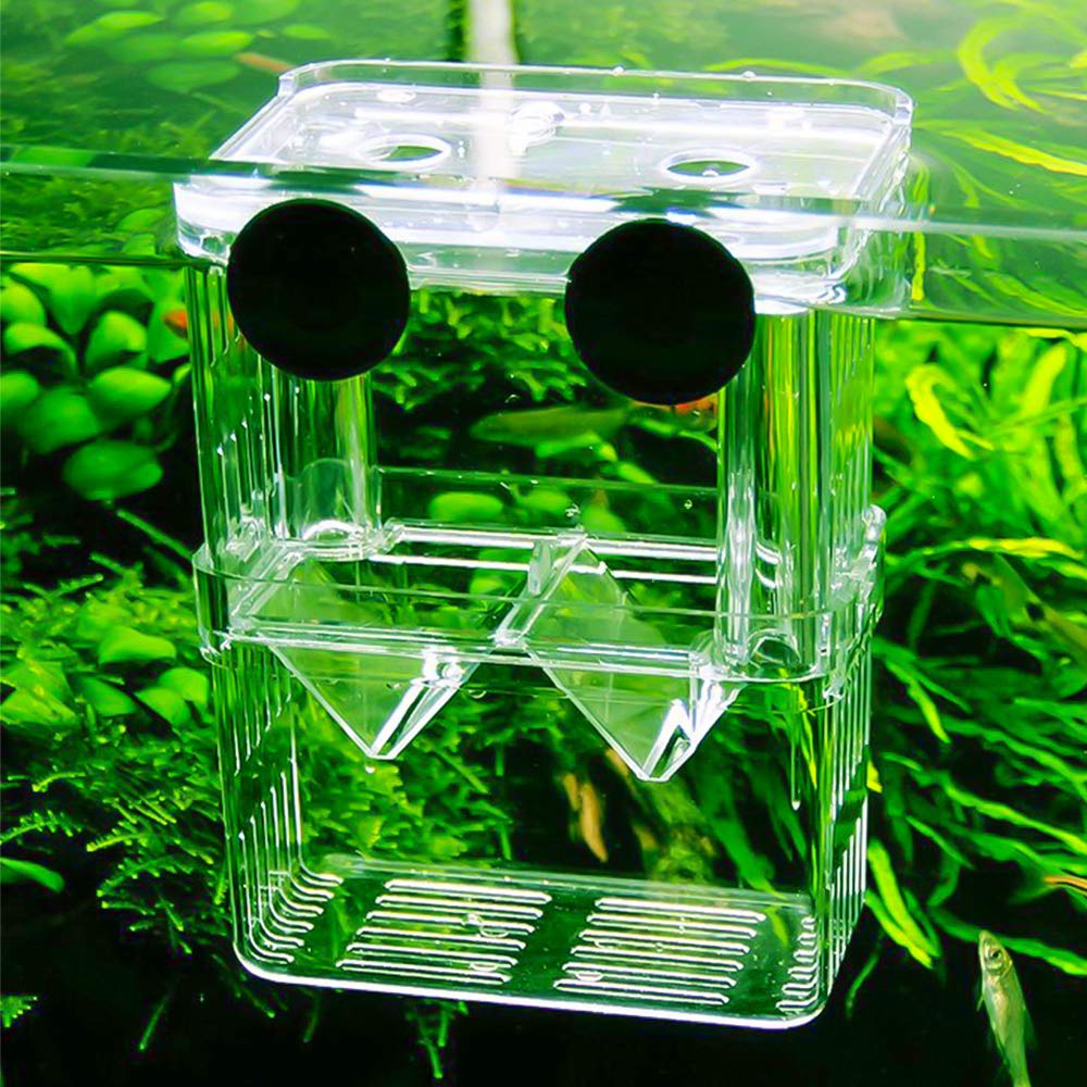Senzeal breeder box helps prevent fry escape with secure containment and visibility.