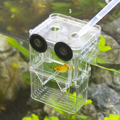 Senzeal breeder box showing suction caps for secure placement in the tank.