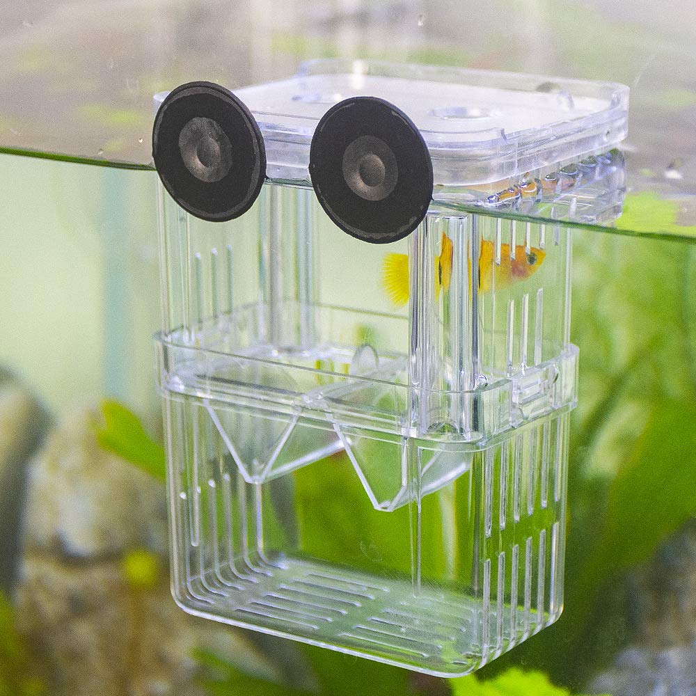Senzeal breeder box with transparent floating design for fry visibility and safety.