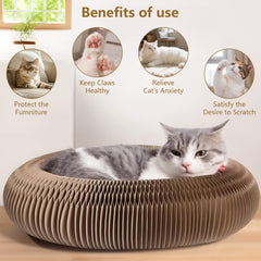 Sepazon Kitty Cat Toy Endless shapes keeps cats mentally stimulated during playtime.