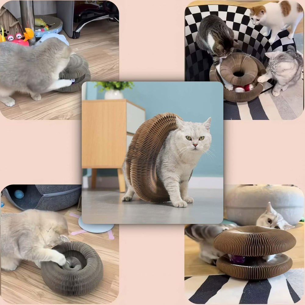 Sepazon Kitty Cat Toy also offers stress-relief play for owners during downtime.