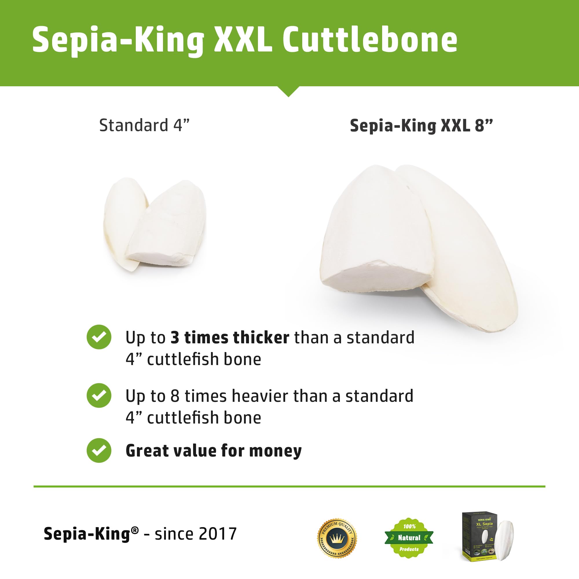Sepia King 8 inch cuttlebone placed beside greens for reptile calcium support.