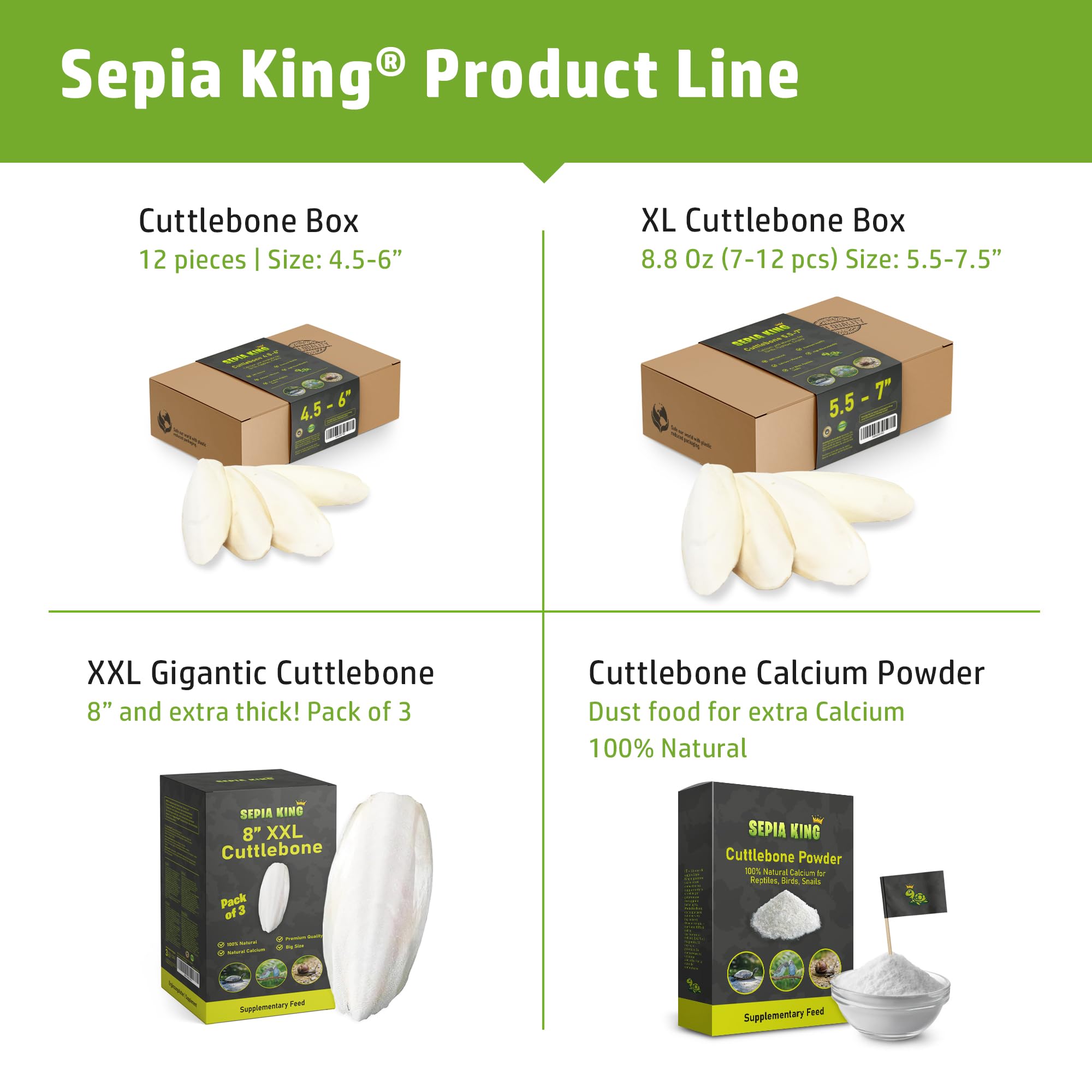 Sepia King crushed cuttlebone beside snails providing natural calcium support for shells.