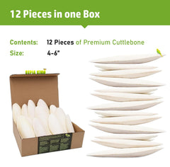 Sepia King cuttlebone 4-6 inch closeup natural calcium for pets.