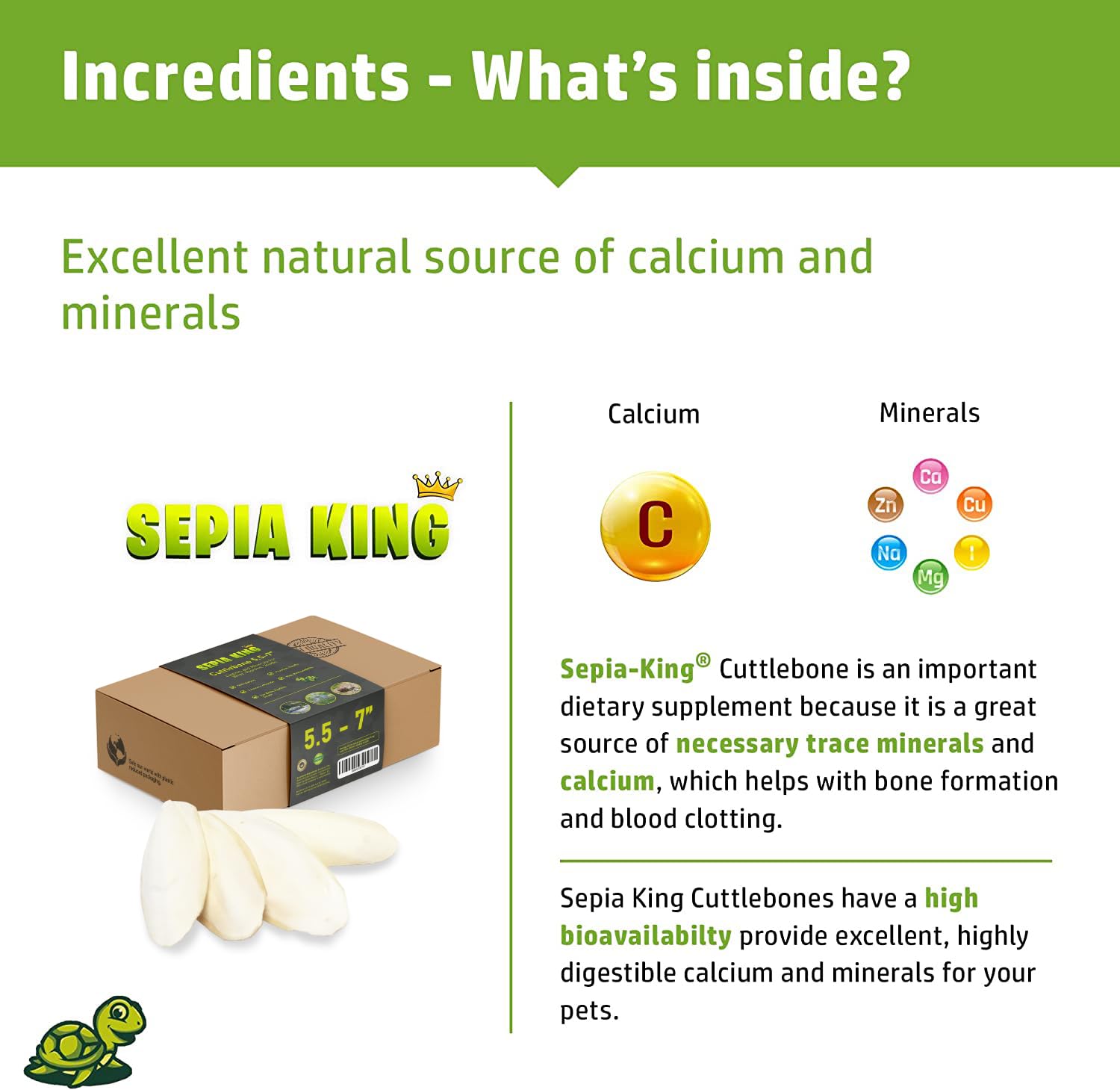 Sepia King cuttlebone enhances turtle shell health with essential minerals.