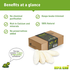 Sepia King tortoise health image showing calcium support for shells.