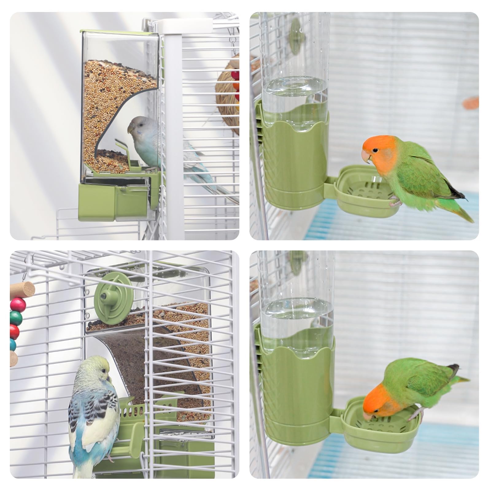 Septillar green seed feeder and waterer attached to cage demonstrates tool-free installation.