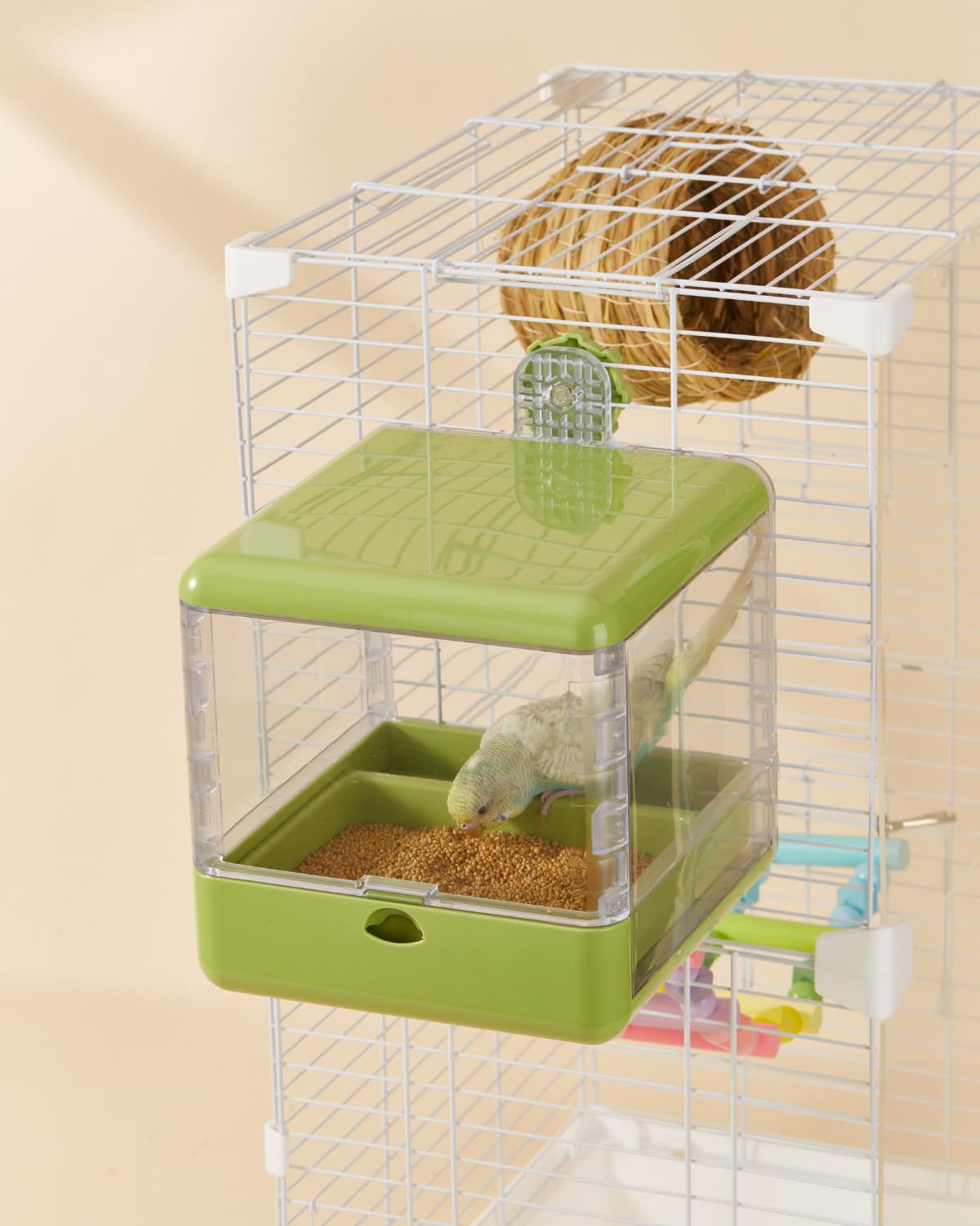 Septillar ideal for lovebirds, finches, budgies, cockatiels and similar birds
