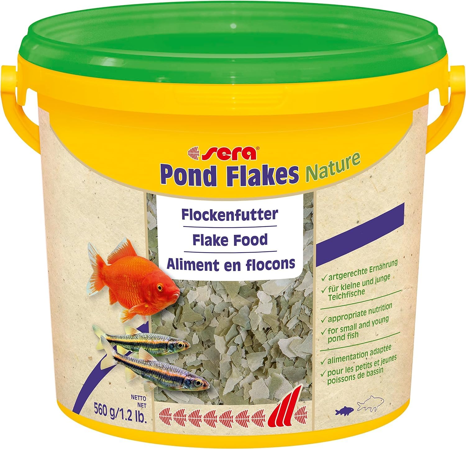 Sera pond flakes juvenile fish enjoy meal, supporting healthy growth and activity.