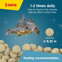 Sera Viformo Nature catfish food loach feeding in tank highlights herbal-rich nutrition.