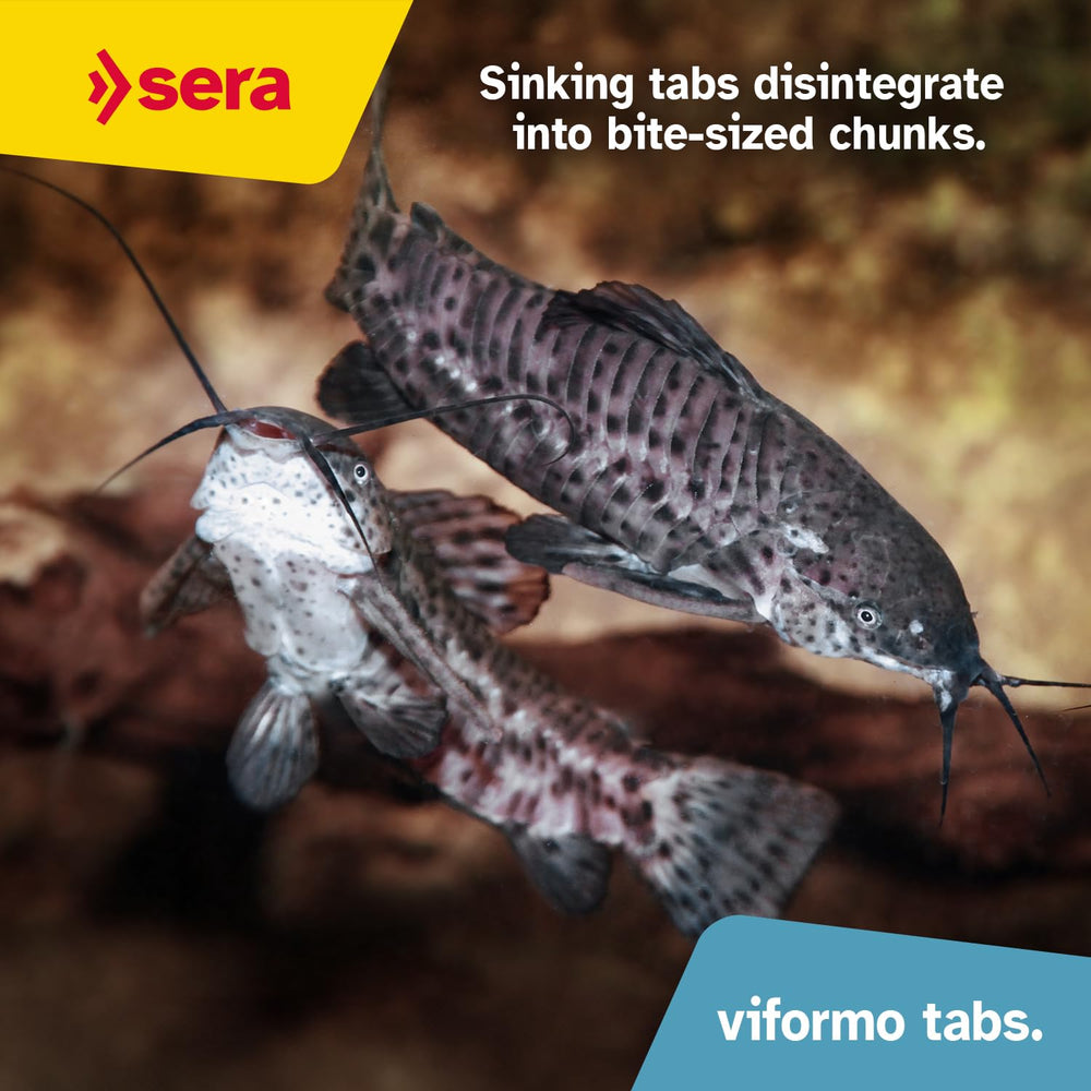 Sera Viformo Nature catfish food sinking tablet demonstrates long-lasting feeding with reduced waste.